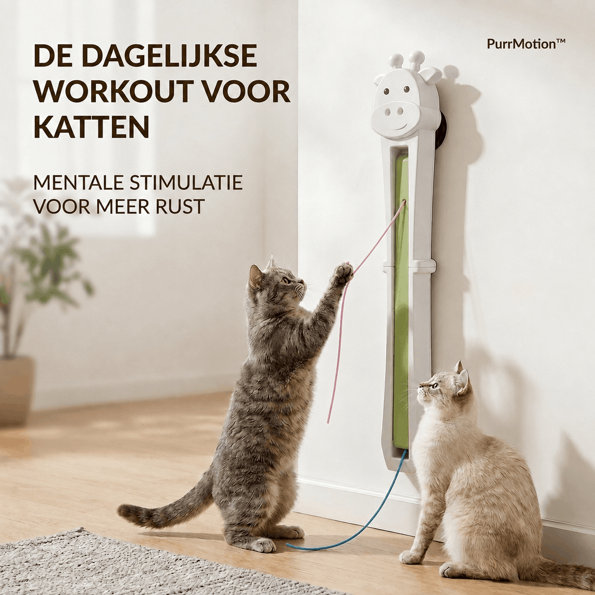 PurrMotion™ Automatische dagelijkse workout voor katten