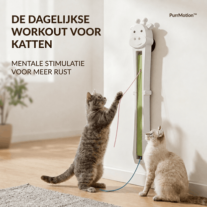 PurrMotion™ Automatische dagelijkse workout voor katten