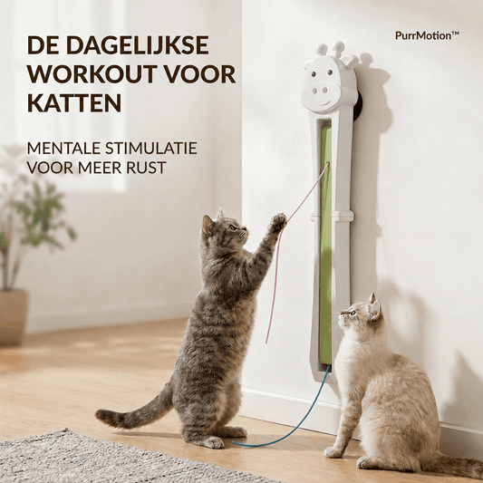 PurrMotion™ Automatische dagelijkse workout voor katten