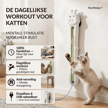 PurrMotion™ Automatische dagelijkse workout voor katten