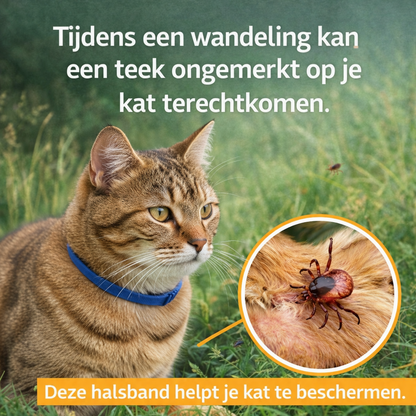 Natuurlijke anti parasieten halsband voor katten