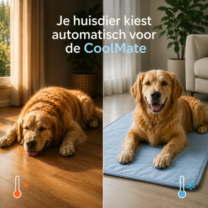 CoolMate Koelmat voor Honden & Katten