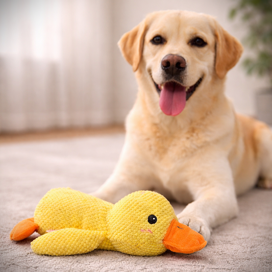 Anti-Stress speeleend tegen verveling