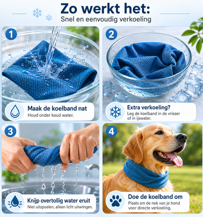 Koelbandana voor Honden – Verkoeling tijdens Warme Wandelingen