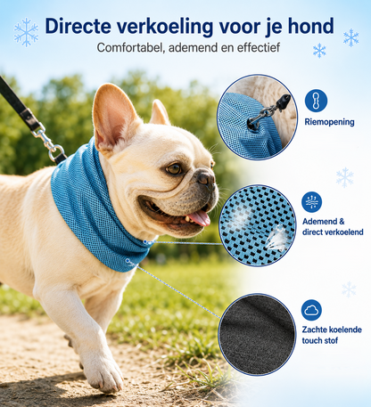 Koelbandana voor Honden – Verkoeling tijdens Warme Wandelingen