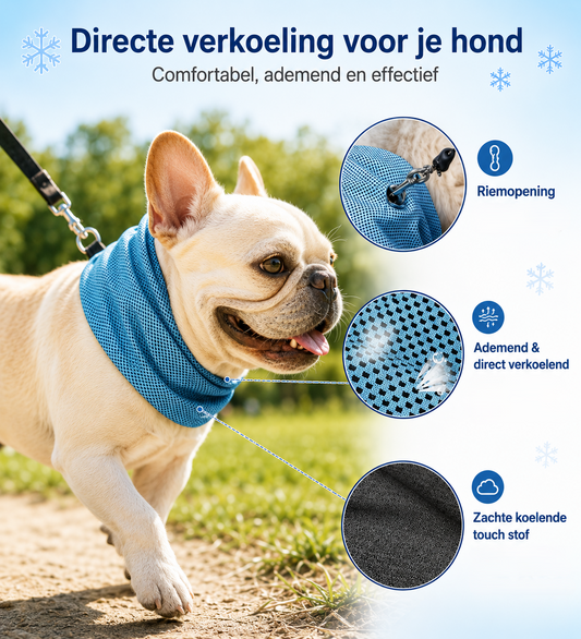 Koelbandana voor Honden – Verkoeling tijdens Warme Wandelingen