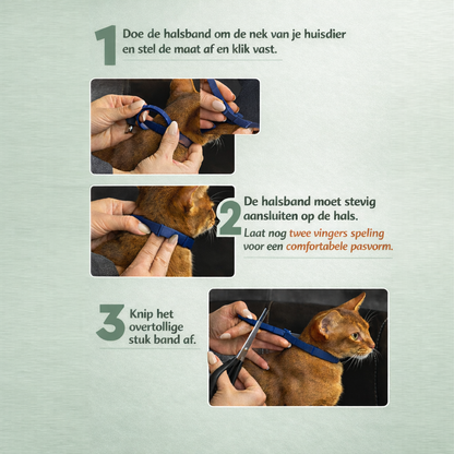 Natuurlijke anti parasieten halsband voor katten