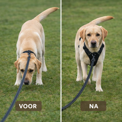 Anti-trek harnas set voor rustig wandelen