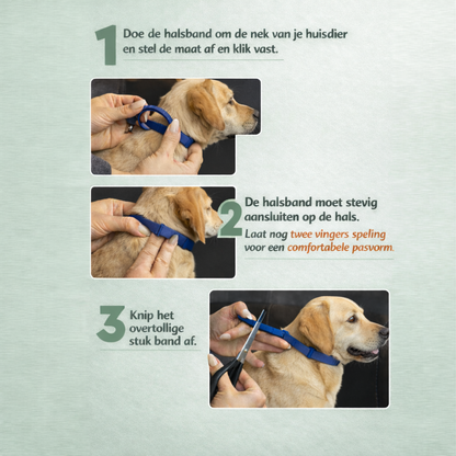 Anti-Tekenband voor Honden 1+1 Gratis