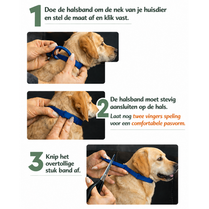 Natuurlijke Anti-Tekenband