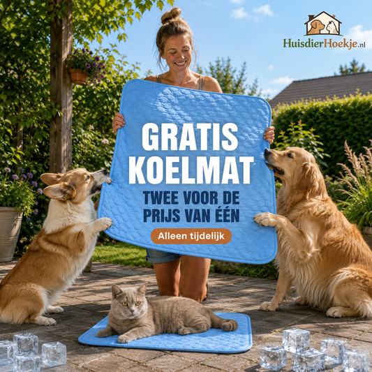 CoolMate Koelmat voor Honden & Katten