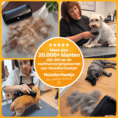VachtPro gezonde vacht, minder haren