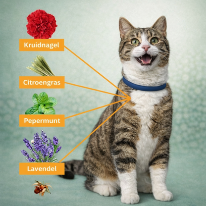 Natuurlijke anti parasieten halsband voor katten
